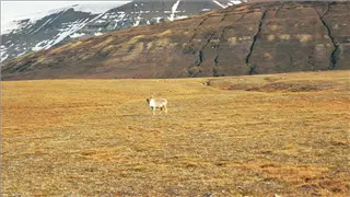 small_070199 cd europeimg023.webp